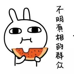 娱乐吃瓜酱背景图,揭秘娱乐圈幕后故事，带你领略明星们的真实生活